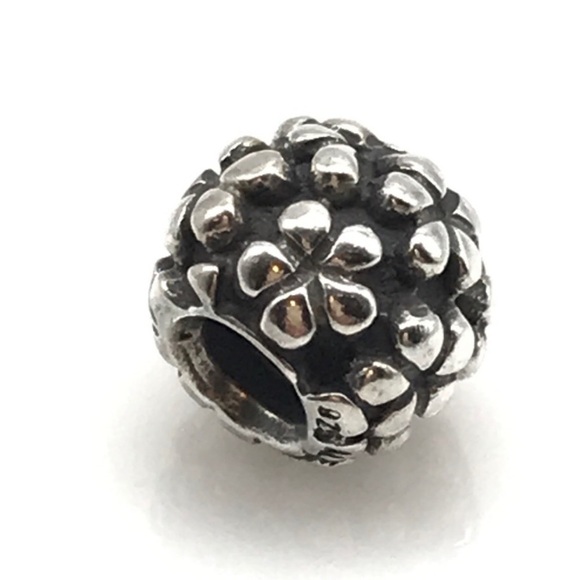 Pandora Sterling Silver Oxidized Flowers Floral Ball Bead Charm - Picture 1 of 5